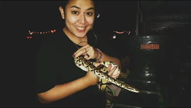 6 Fakta Annisa Cikal