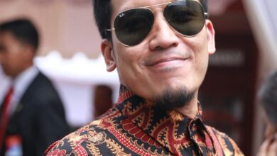 profil dan biodata desta