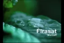 Chord Firasat Dewi Lestari Lengkap dengan Makna Lagu